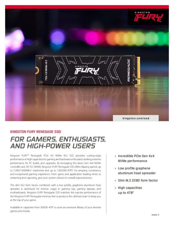 UNIDAD SSD KINGSTON FURY RENEGADE 1000G M.2 2280 (SFYRS/1000G) - Imagen 2